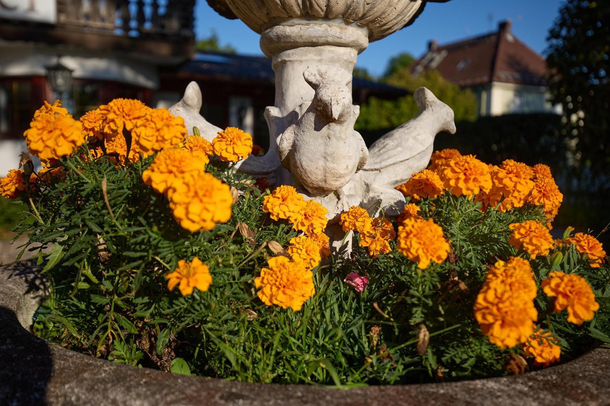 Hotel Garni Demmel Bruckmühl エクステリア 写真